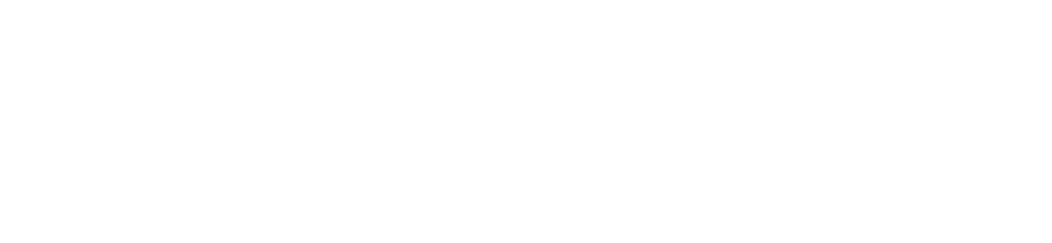 HokenFi